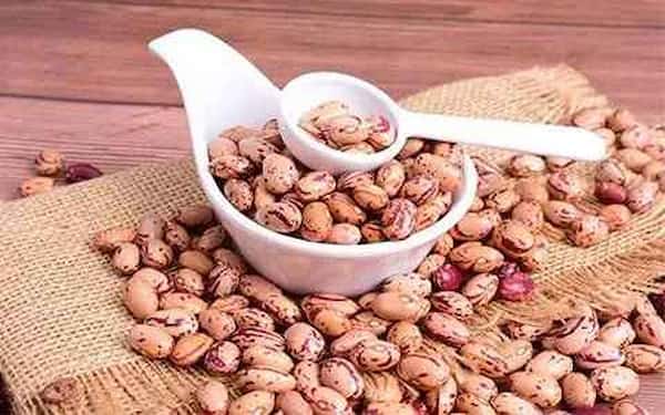 تصویر 2 از معرفی لوبیا چیتی دانه درشت + بهترین قیمت خرید